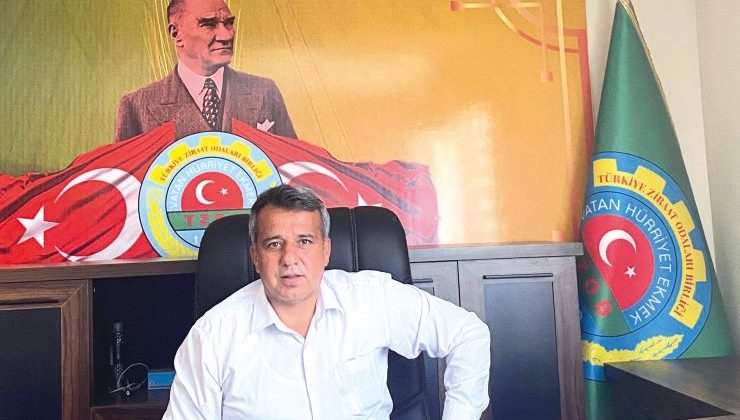 2024 Buğday Hasat Ücreti  Belirlendi: 1 Dekarı 195 TL