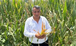 ŞAHBAZOĞLU: “VEKİLLER SAHAYA İNSİN, DURUMU GÖRSÜN”