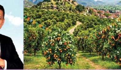 Kozan Portakal Çiçeği  Festivali için geri sayım başladı!