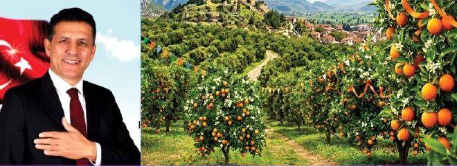 Kozan Portakal Çiçeği  Festivali için geri sayım başladı!