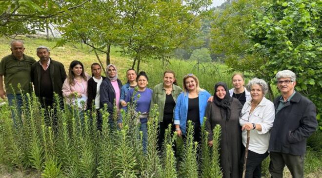 Ak Zambaklar gelişiyor kadınlar güçleniyor