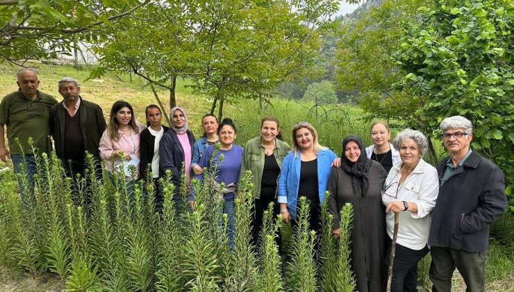Ak Zambaklar gelişiyor kadınlar güçleniyor