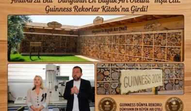 Anavarza Bal “Dünyanın En Büyük Arı Otelini” İnşa Etti. Guinness Rekorlar Kitabı’na Girdi!