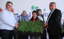 Büyükşehir’den Aladağ üreticisine 400 bin domates fidesi…