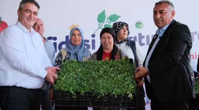 Büyükşehir’den Aladağ üreticisine 400 bin domates fidesi…