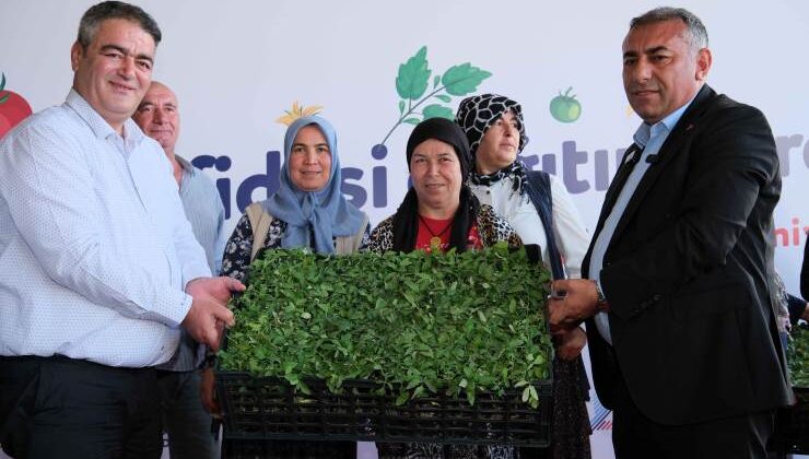 Büyükşehir’den Aladağ üreticisine 400 bin domates fidesi…