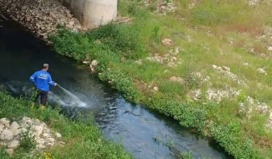 Büyükşehir’den İlaçlama İle İlgili Açıklama