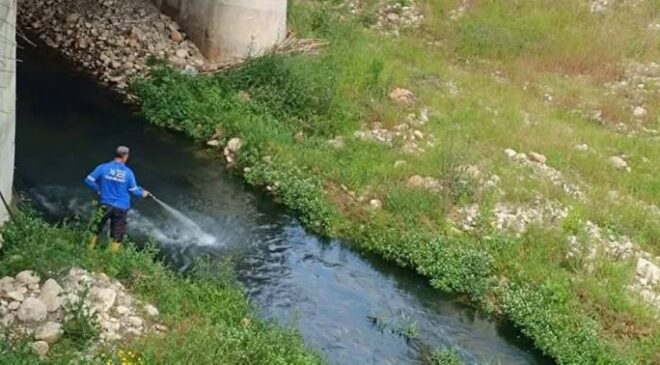 Büyükşehir’den İlaçlama İle İlgili Açıklama