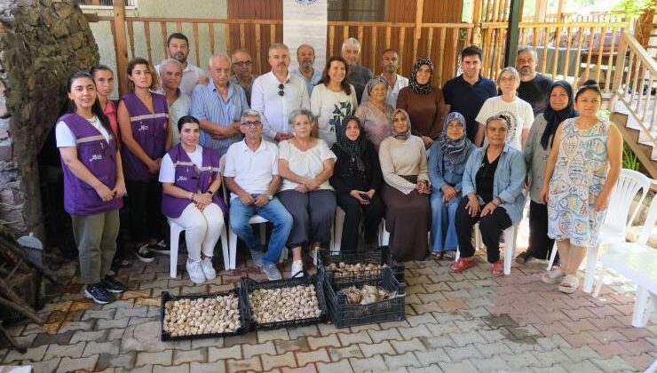 Beyaz Zambak Projesinde hasat dönemi